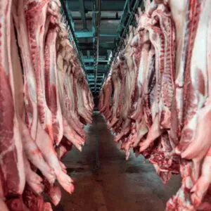 Patel Pork Frozen meat