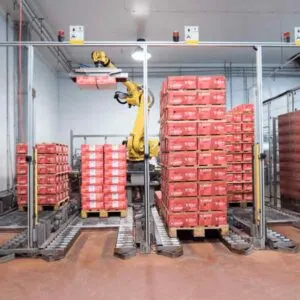 Patel Pork Frozen meat